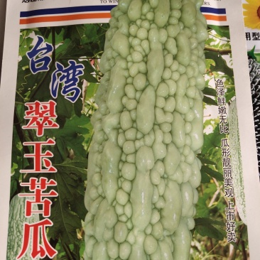 台湾翠玉苦瓜种子，瓜型靓丽美观，