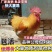【精选】三黄鸡苗肉鸡苗土一土二土三鸡苗快大黄鸡包运输包活