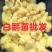 白狮头鹅苗厂家直销常年供应品种纯正免费技术跟踪