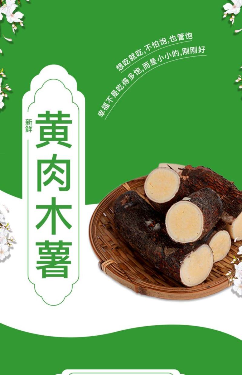 2024年新鲜黄肉木薯大量上市包粉糯可一件代发批发