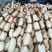 高产食用莲藕种苗深浅水都可种植质量好