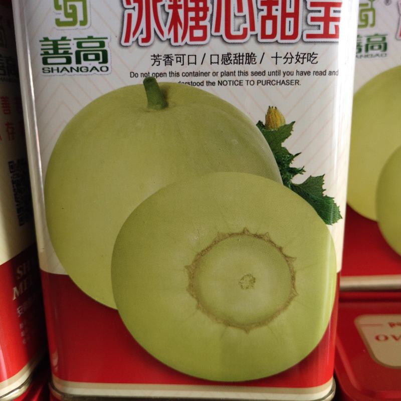 冰糖心甜宝种子，方向可口，口感甜脆，十分好吃，成熟35天