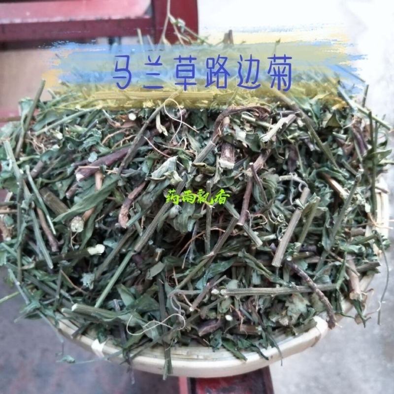 路边菊路边菊路边路边菊路边菊路边菊路边菊马兰草，马兰草