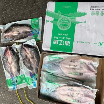 清江开背鱼每条900-1000克。