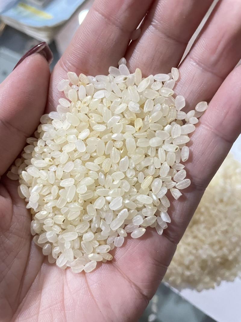 东北珍珠米酒米