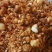 糟渣类饲料，肯德基油渣，做饲料育肥，养殖