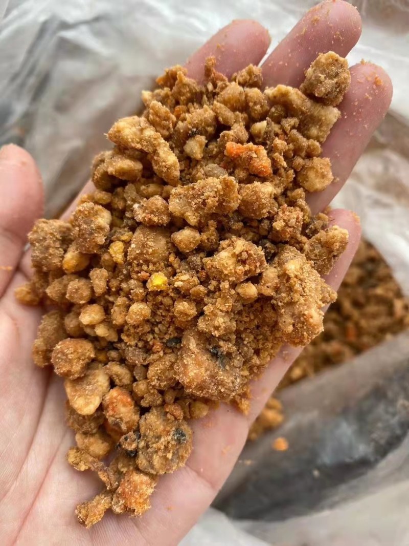 糟渣类饲料，肯德基油渣，做饲料育肥，养殖