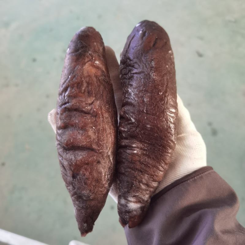 残参即食海参大乌参社区团购微商厂家直销