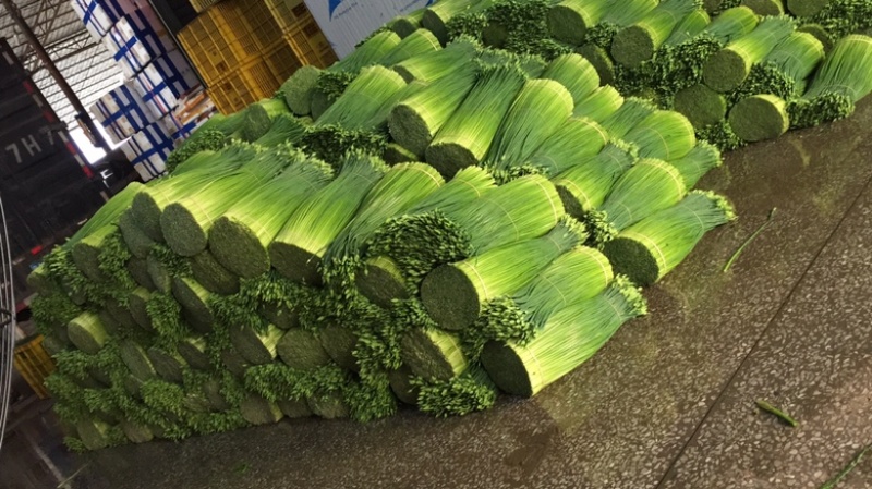 韭花