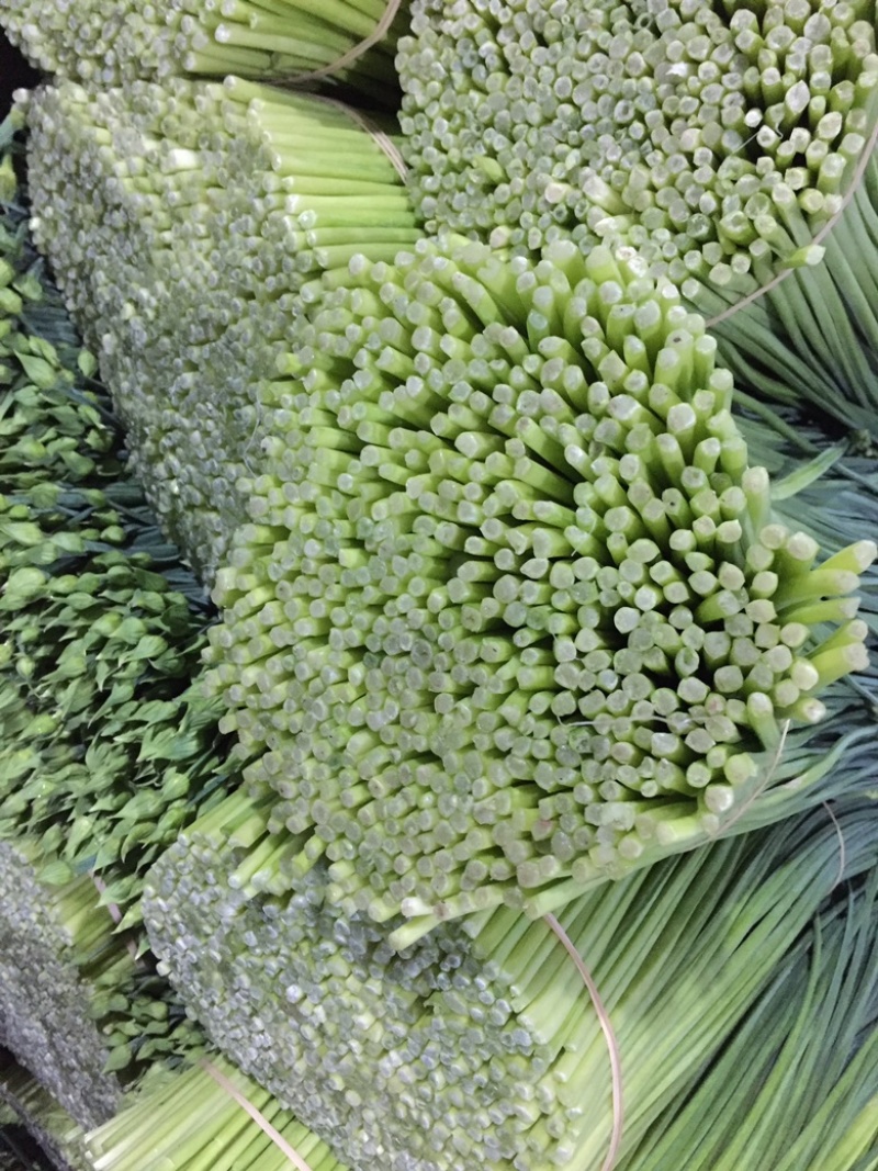 韭花