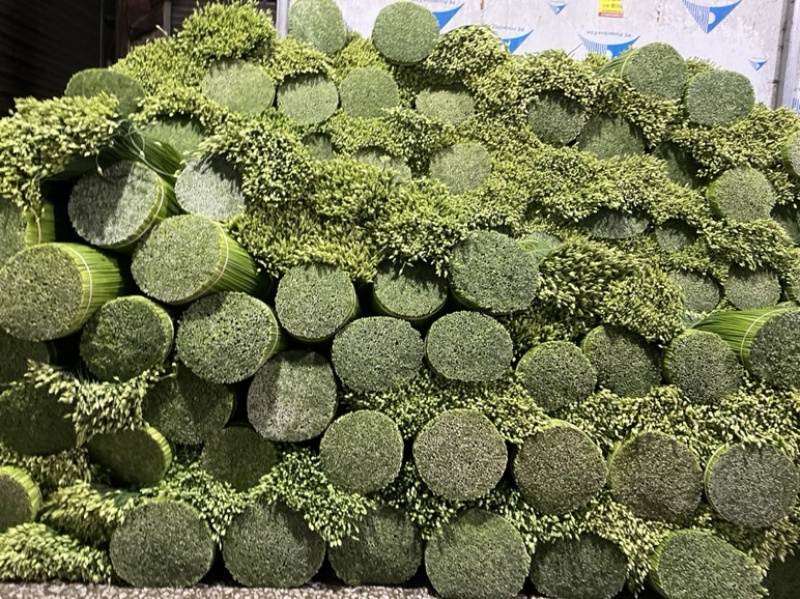 韭花