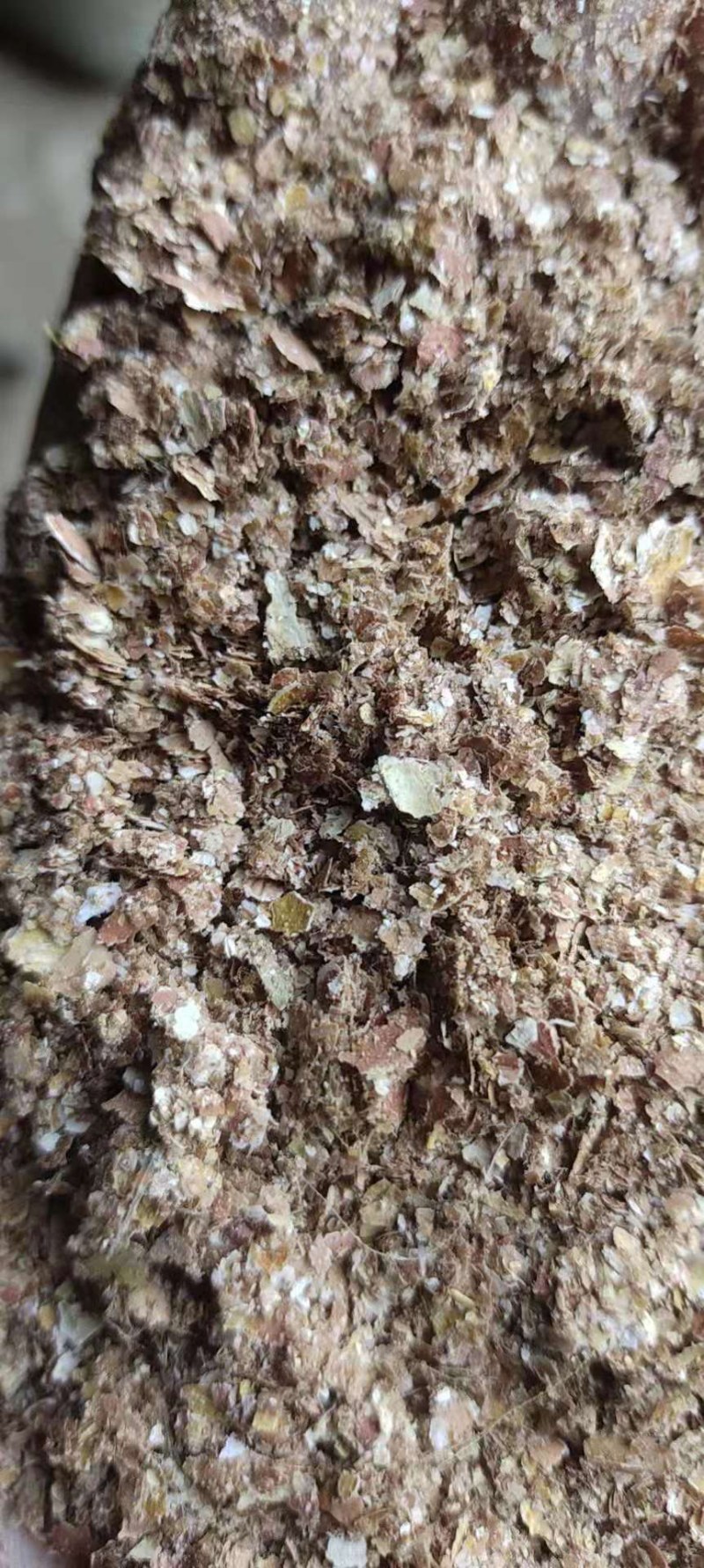 下脚料，糠麸饲料花生红衣育肥，做饲料