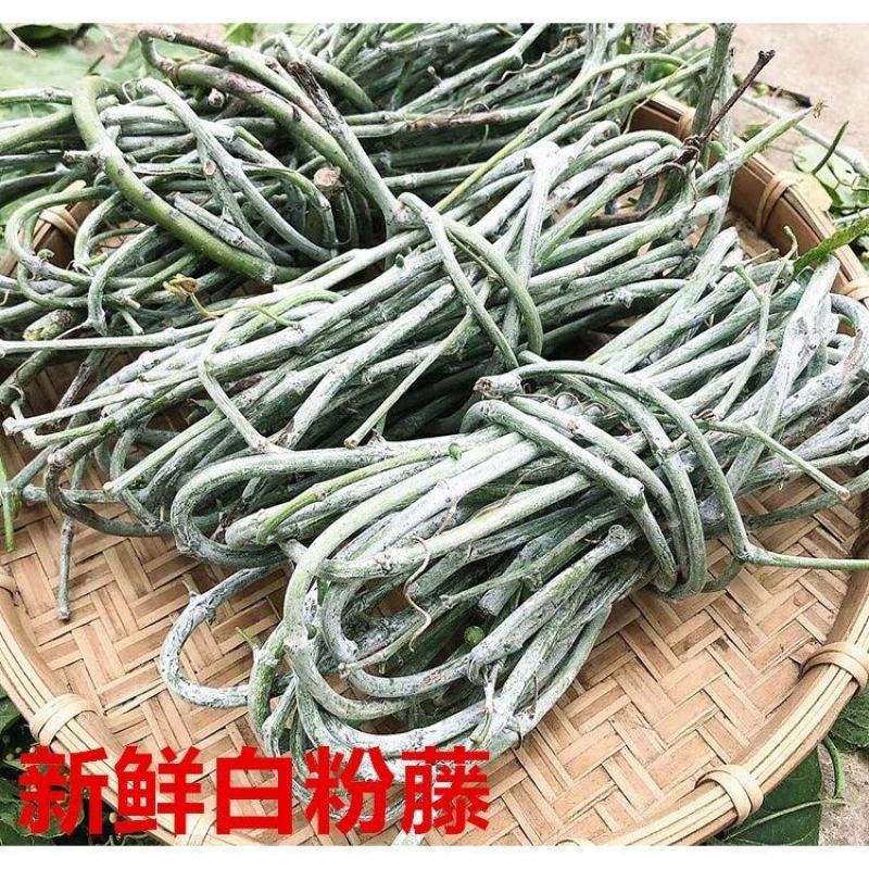 鲜货，干货，大货请预定