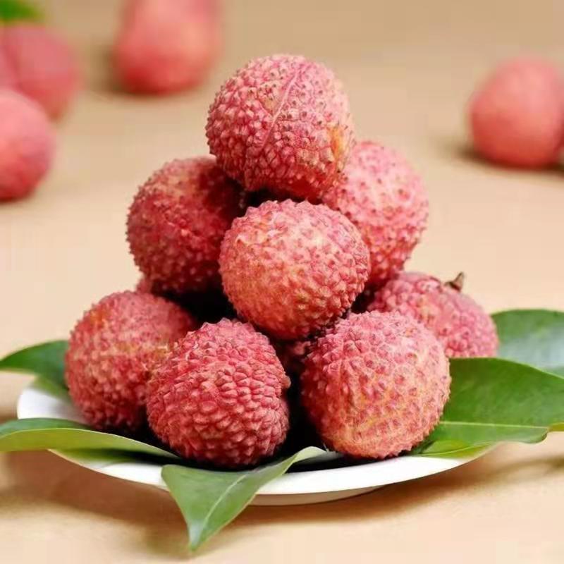 广西荔枝树苗无核妃子笑桂味正宗冰荔枝苗新品种耐寒带土带叶