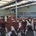 牛鲁西黄牛养殖场改良肉牛犊小黄牛活牛苗量大从优
