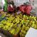 万亩暖棚博洋甜瓜，大量供应【每天30万斤】超市，市场电商