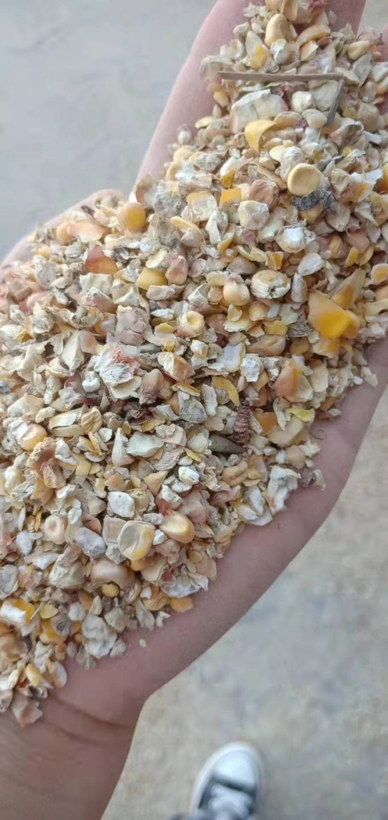 厂家直销碎玉米下脚料，喂鸡鸭牛羊猪等，可以降低养殖成本