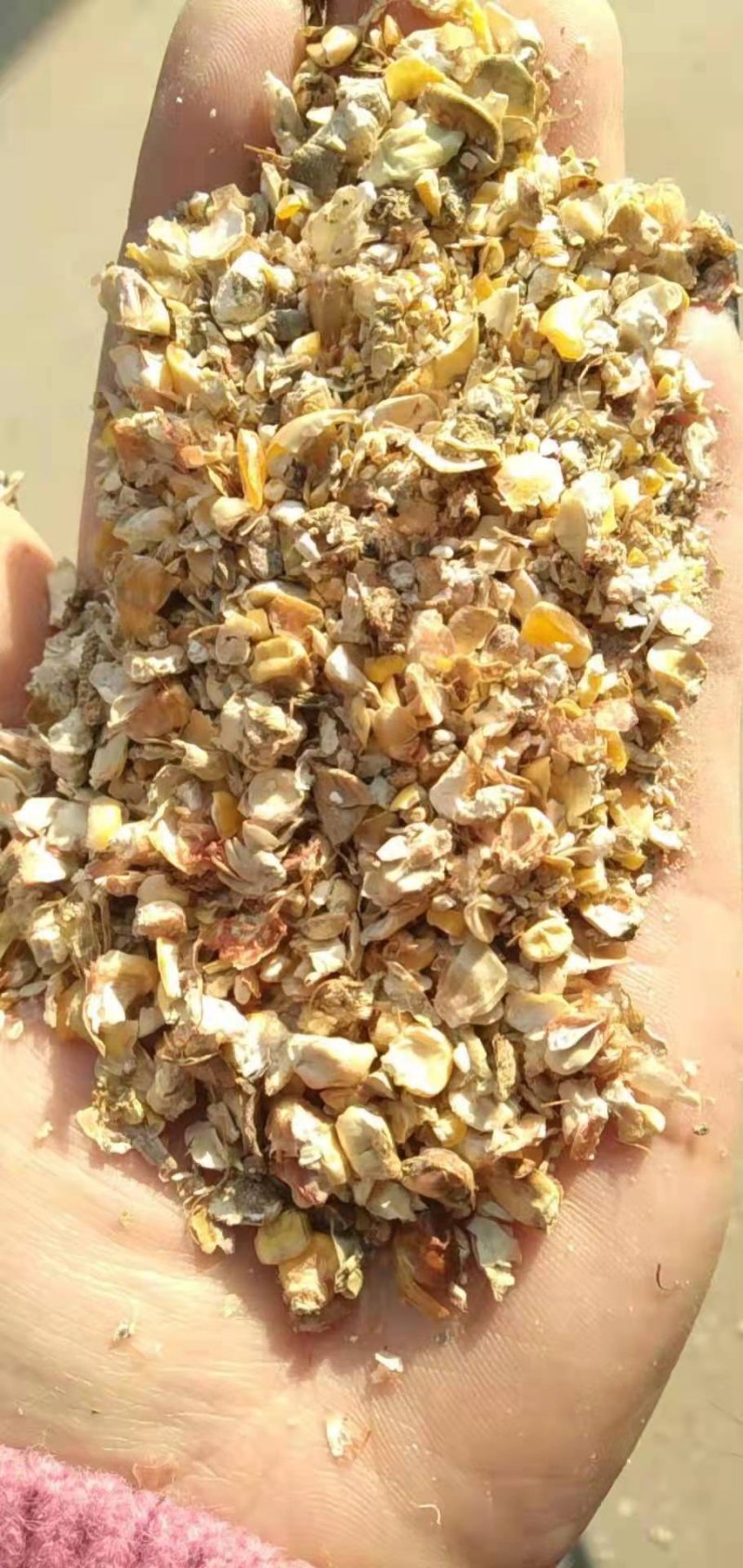 厂家直销碎玉米下脚料，喂鸡鸭牛羊猪等，可以降低养殖成本