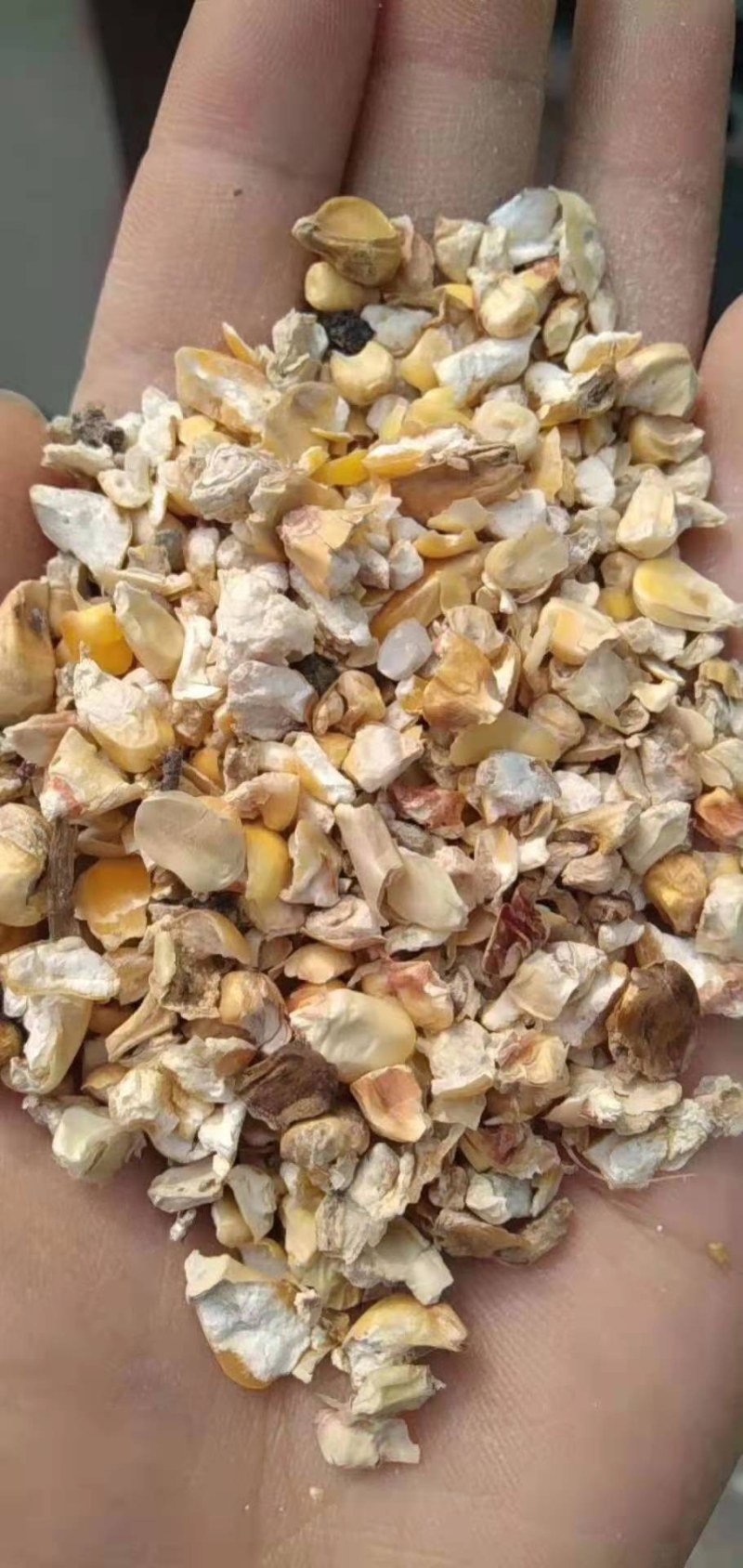 厂家直销碎玉米下脚料，喂鸡鸭牛羊猪等，可以降低养殖成本