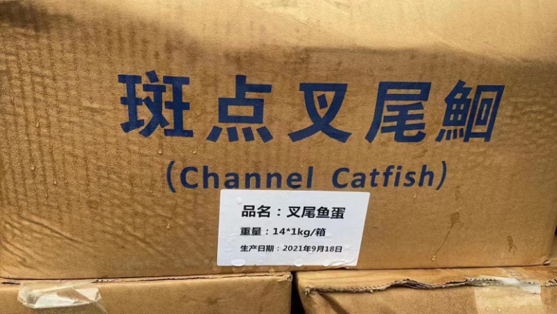 新鲜冷冻鱼蛋，质量保证，欢迎咨询下单
