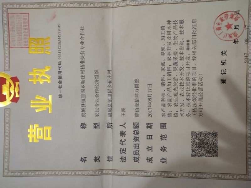 河南密刺黄瓜，油瓜，扶贫示范基地，精挑细选，次坏包赔