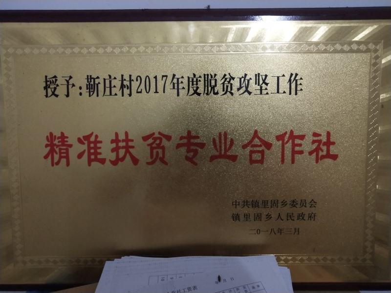 河南密刺黄瓜，油瓜，扶贫示范基地，精挑细选，次坏包赔