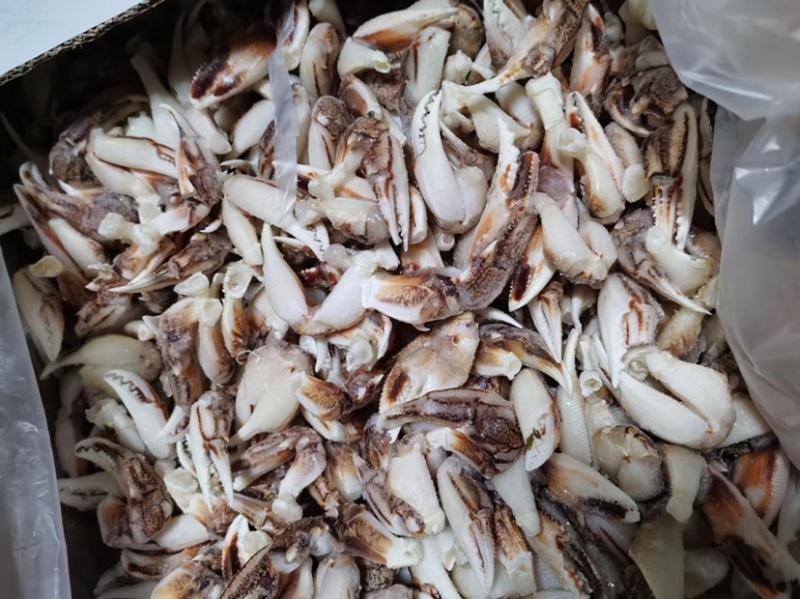 大号沙蟹钳，小号沙蟹钳价格便宜