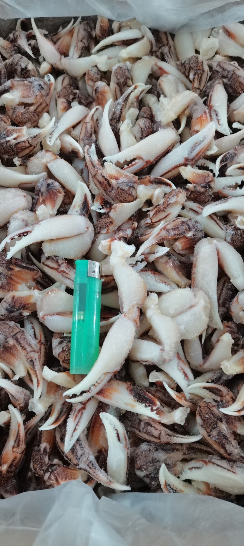 大号沙蟹钳，小号沙蟹钳价格便宜