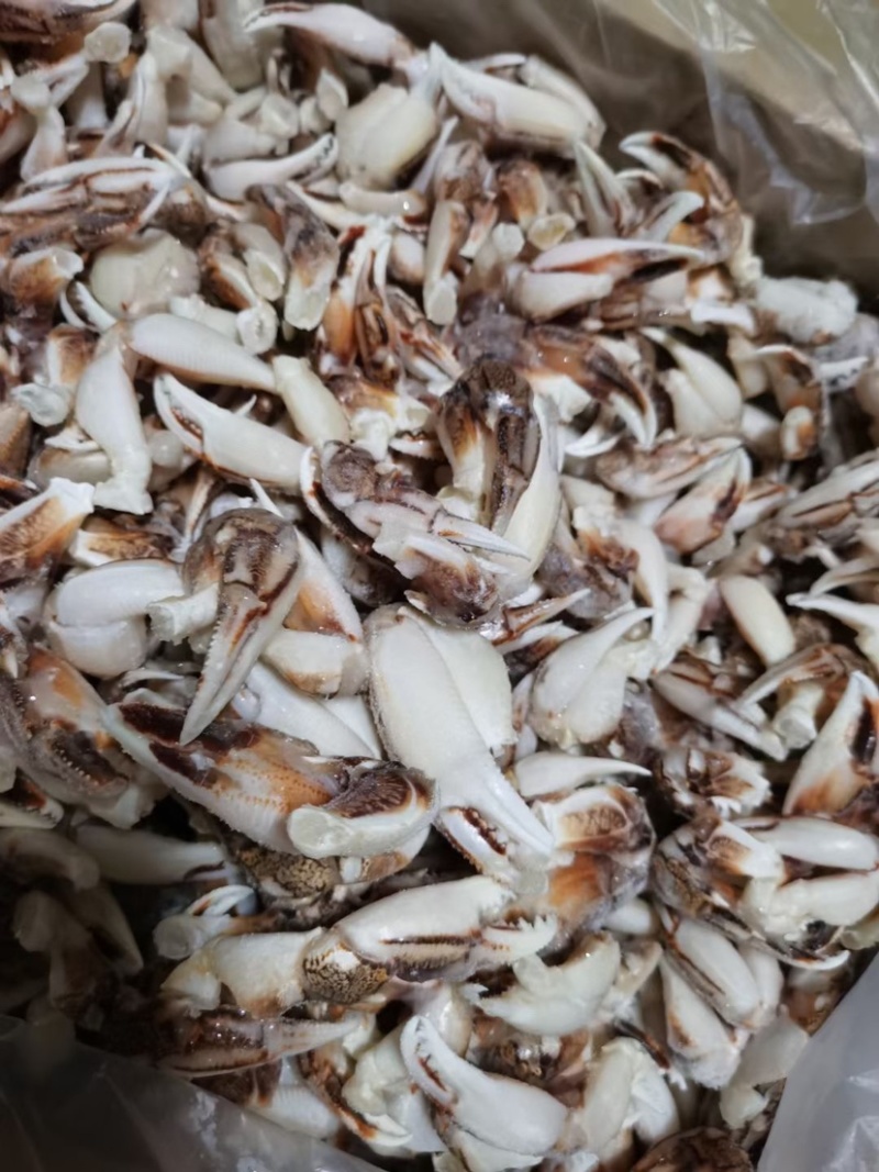 大号沙蟹钳，小号沙蟹钳价格便宜