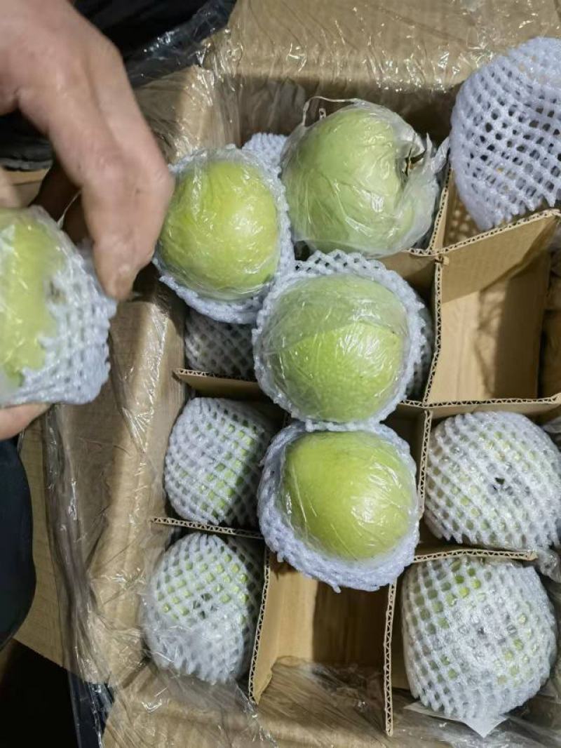 新鲜青苹果70以上不封顶，膜袋果，鲜果，客商存高山货