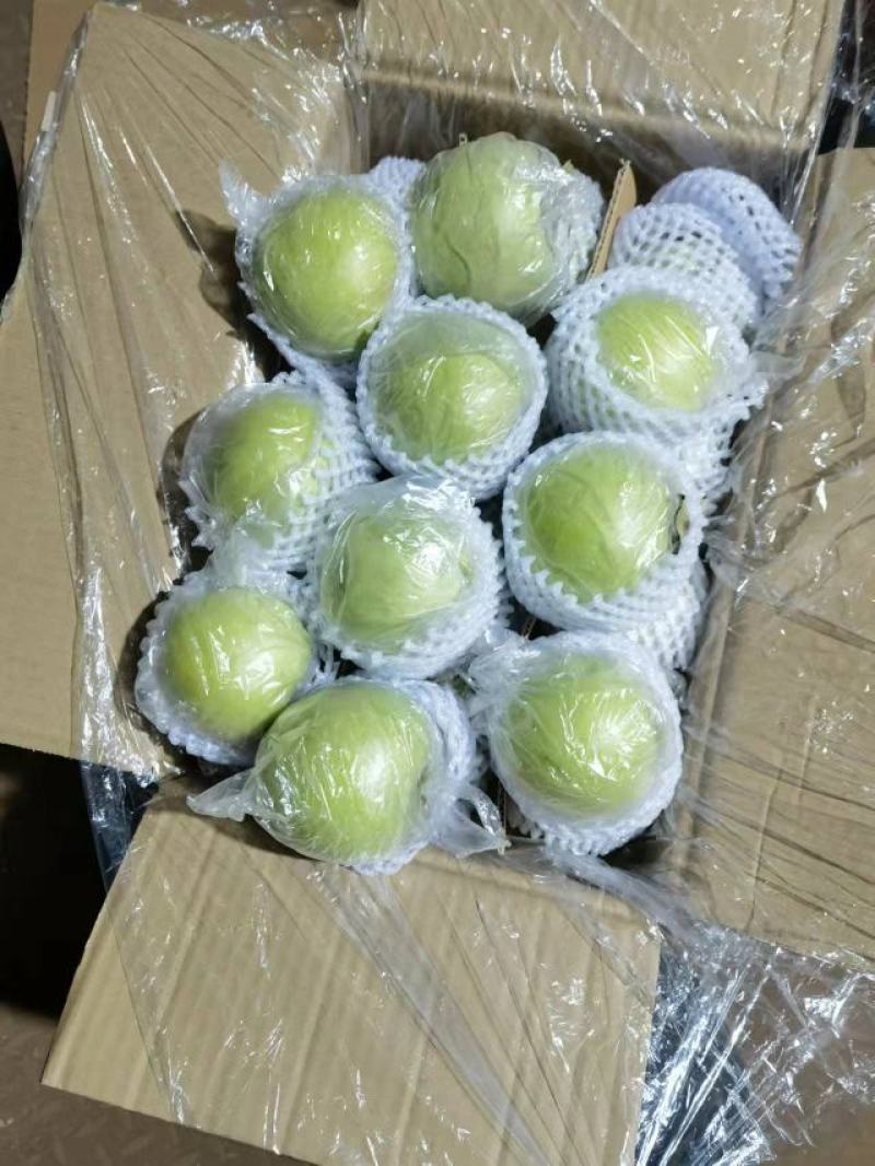 新鲜青苹果70以上不封顶，膜袋果，鲜果，客商存高山货