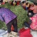 【牛商推荐】山东单县油豆角全国发货协助找车打包