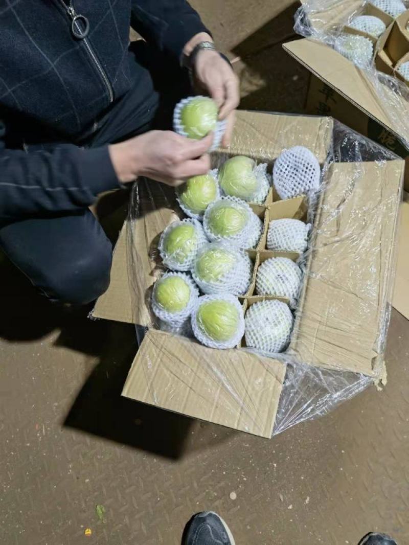 新鲜青苹果70以上不封顶，膜袋果，鲜果，客商存高山货