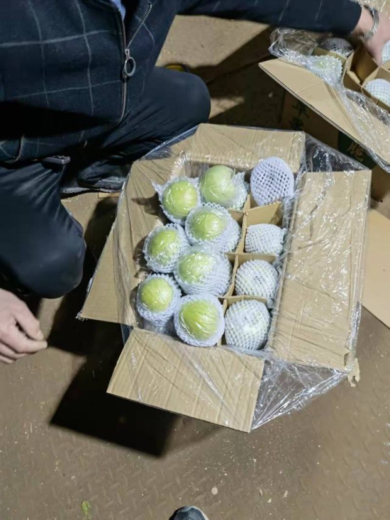 新鲜青苹果70以上不封顶，膜袋果，鲜果，客商存高山货