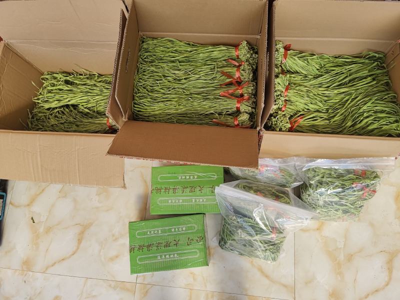 云南贡菜产地直销一手货源品质保证欢迎咨询下单选购