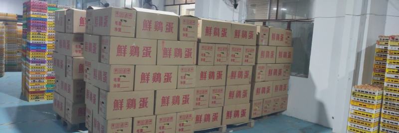 四川省内鸡蛋批发普通粉蛋鲜鸡蛋红心蛋便宜鸡蛋的饲料蛋