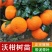 091无核无籽沃柑果苗树苗纯正嫁接橘子盆栽南方种植当