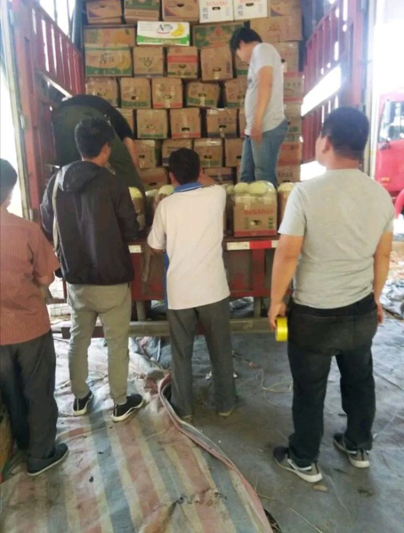 冰清玉姑甜瓜，玉菇电商，批发市场，商超，赶集【欢迎来电】