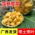 菠萝蜜苗树苗四季当年结果木菠萝嫁接苗马来黄肉南方种植盆栽