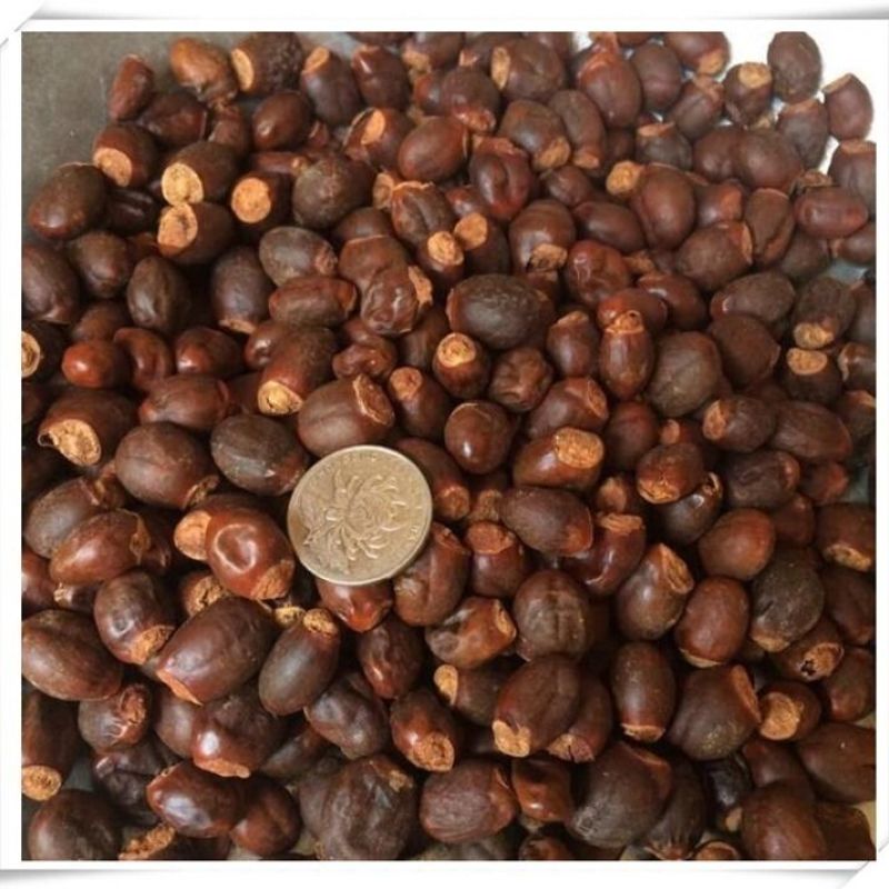 荔枝核荔仁枝核大荔核500g包邮干荔枝核