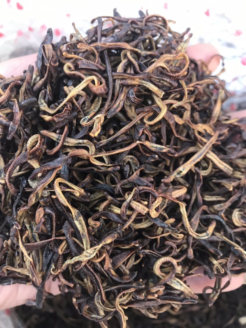 太平蚯蚓蚯蚓干地龙干