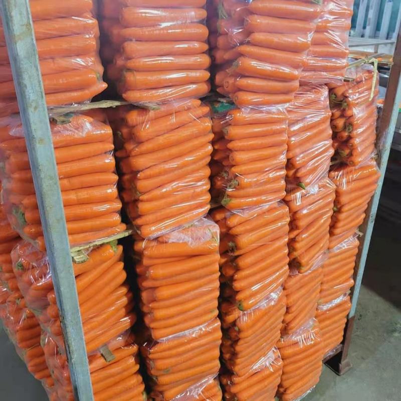 【精品】胡萝卜河南开封产地直发质量上乘量大优惠