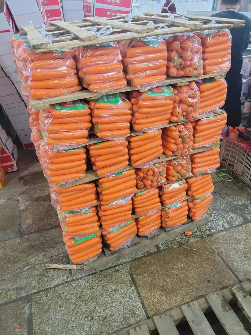 精品胡萝卜三红胡萝卜产地直发对接电商超市