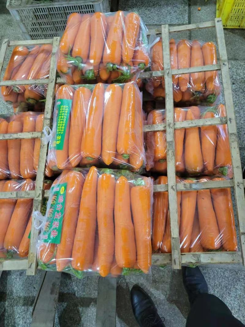 精品胡萝卜三红胡萝卜产地直发对接电商超市