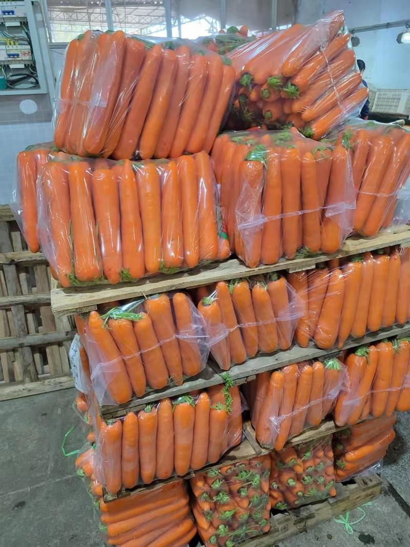 精品胡萝卜三红胡萝卜产地直发对接电商超市
