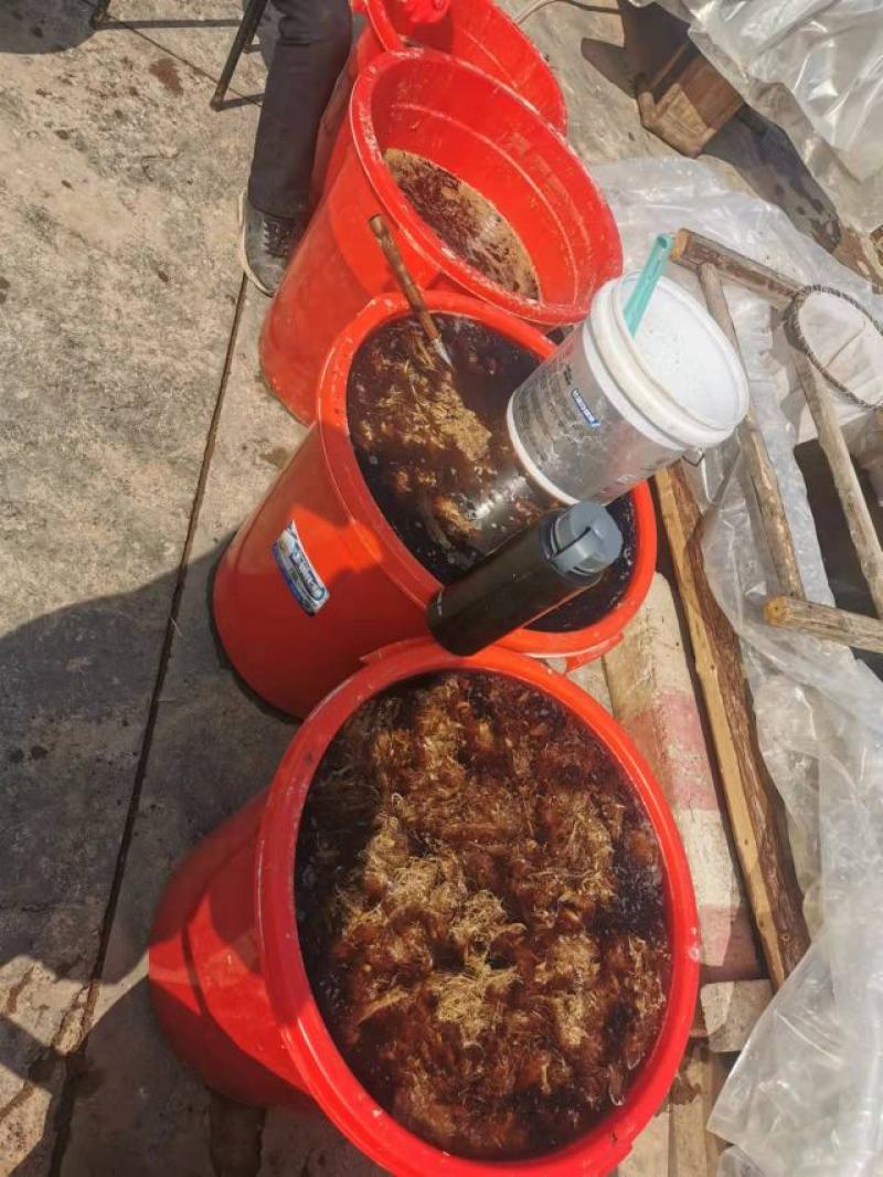 葛根粉，在深山挖的柴葛根，经过洗，锤，漂，晒，提出的粉