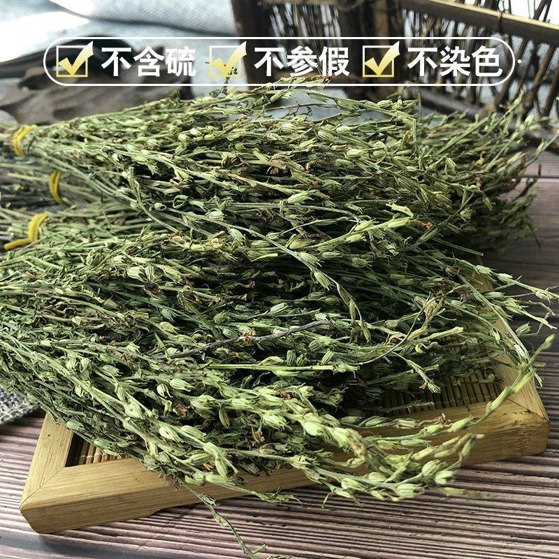 独脚金产地直供药典标准道地药材支持线上交易保障