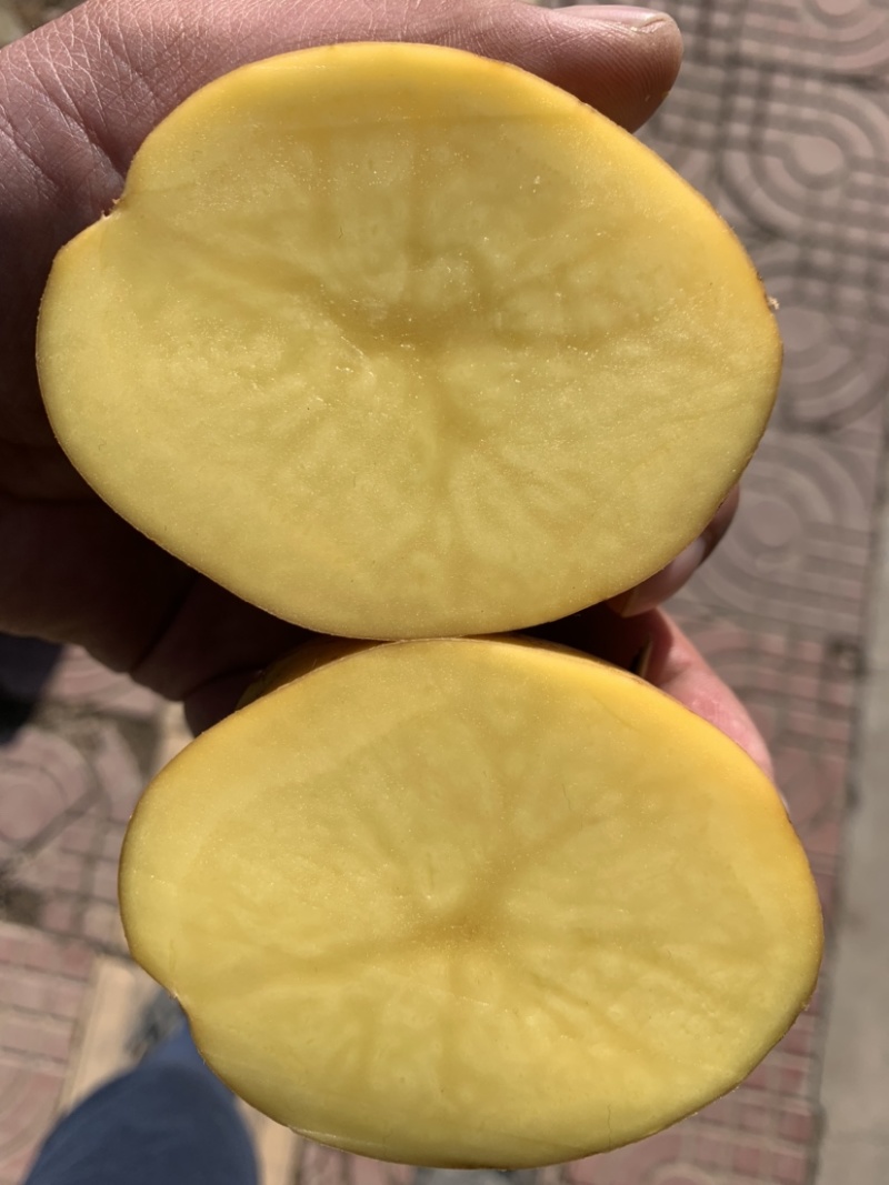 定西粉条、精选定西土豆纯手工制作.口感好、正宗粉条批发