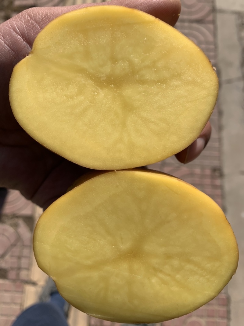 定西粉条、精选定西土豆纯手工制作.口感好、正宗粉条批发