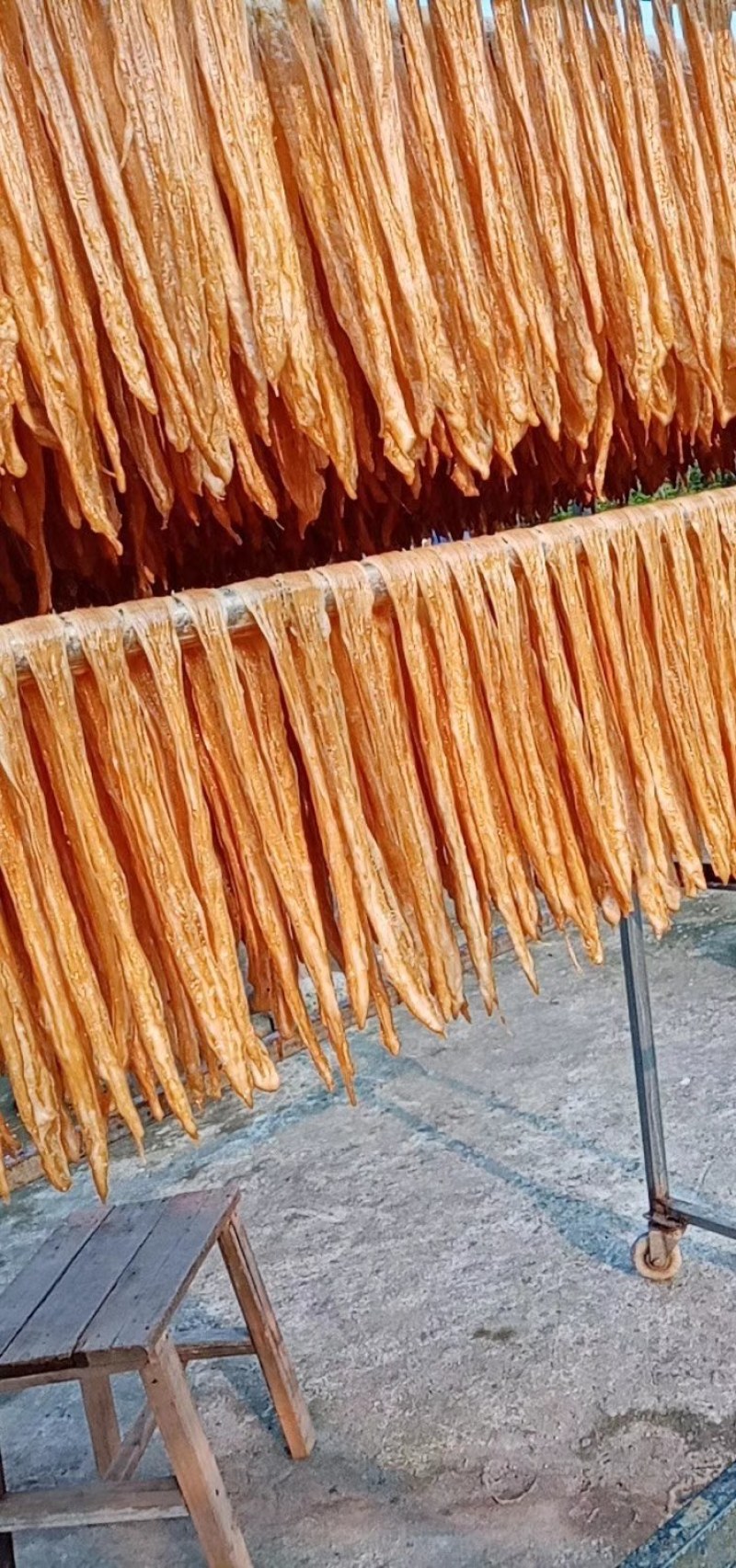 河源和平精选黄豆圆腐竹纯手工制作品质保证量大从优